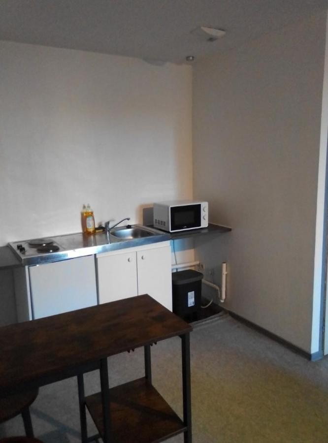 Appartement Tout Equipe Hypercentre Limoges Dış mekan fotoğraf